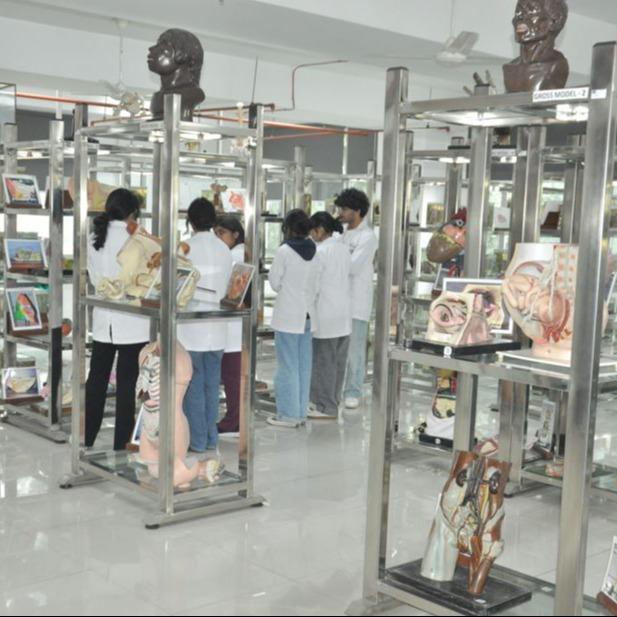 M.S. (Obstetrics and Gynaecology)