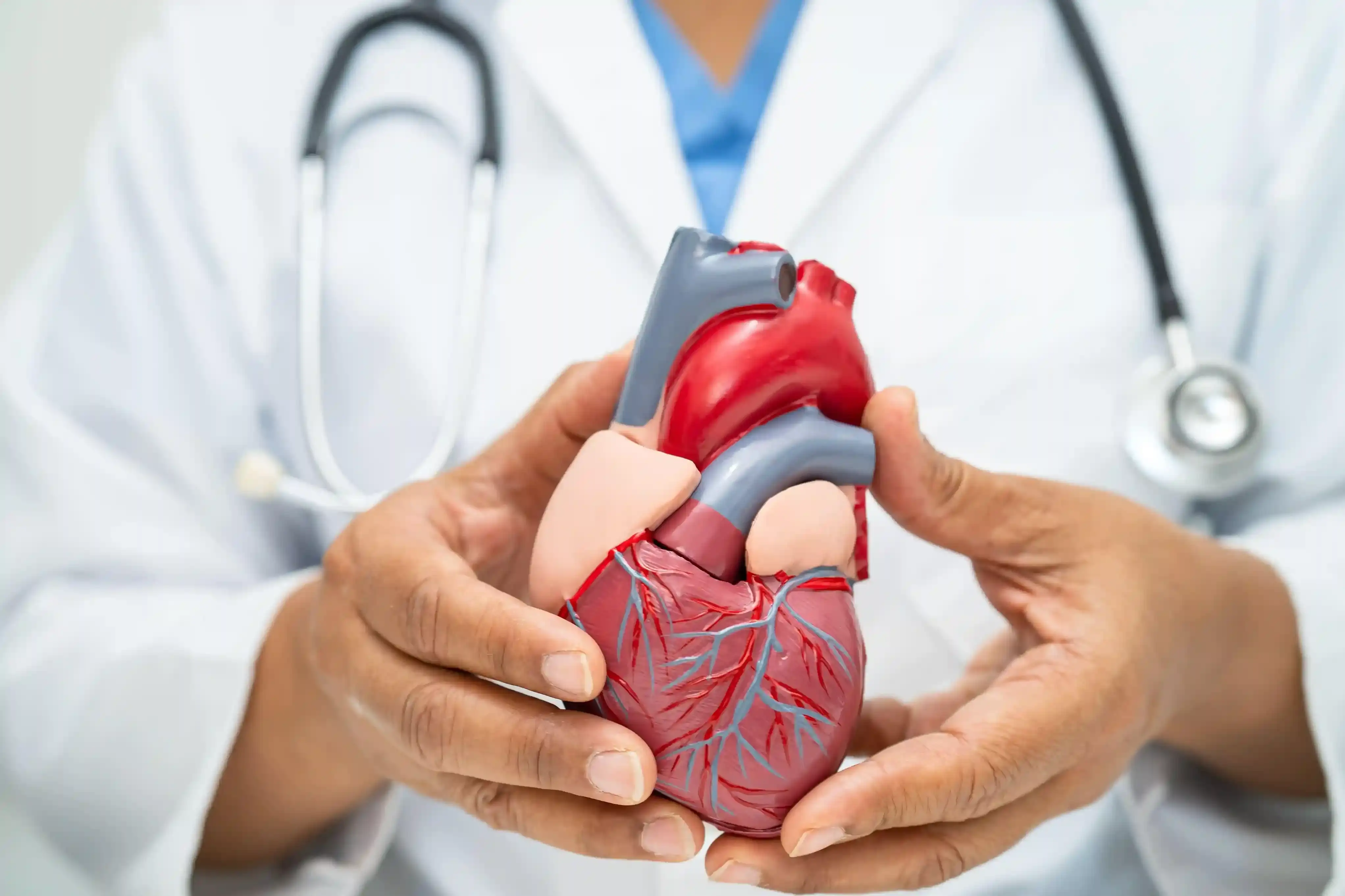 Cardiology