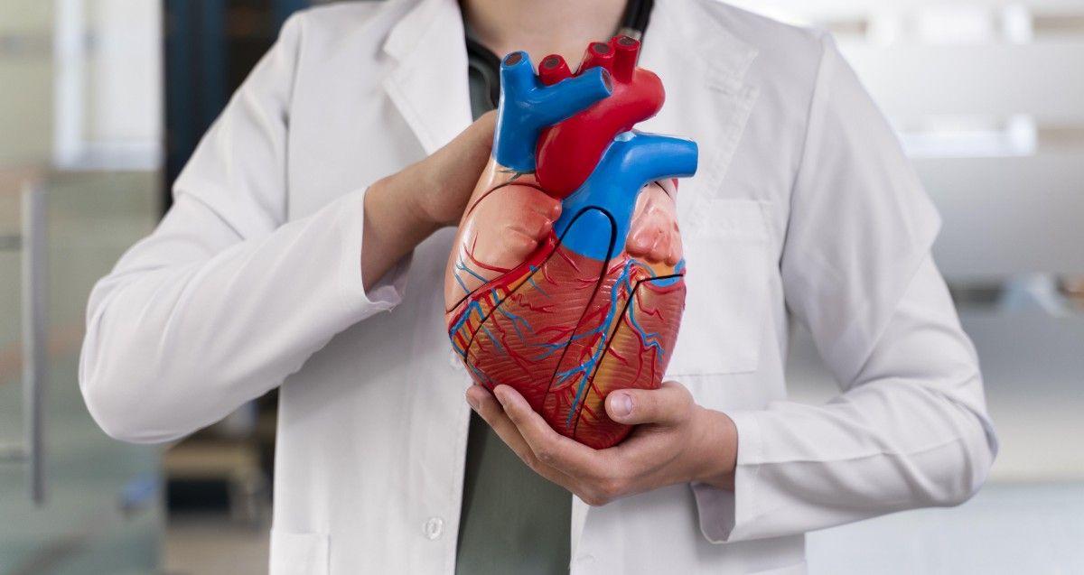 Heart Image